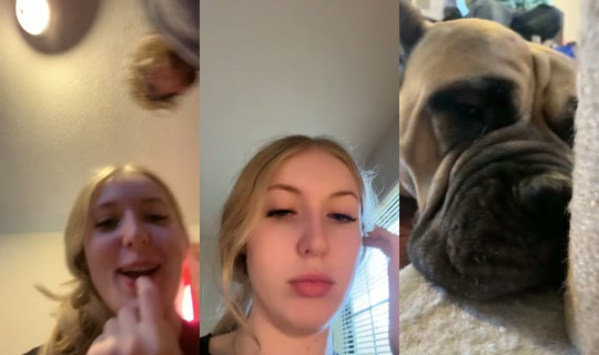 17793522's Live Session — Sep 12, 2026, 1:50 PM