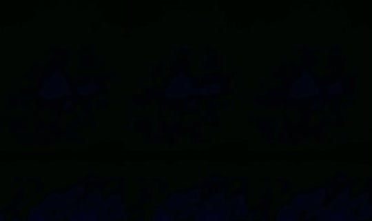 18341759's Live Session — Aug 12, 2026, 8:22 AM