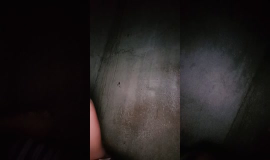 18357656's Live Session — Jul 24, 2026, 9:11 PM