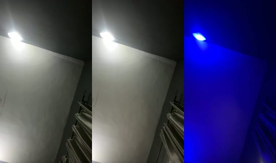 18509191's Live Session — Sep 8, 2026, 5:38 AM