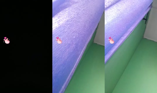 18587894's Live Session — Oct 18, 2026, 4:34 PM