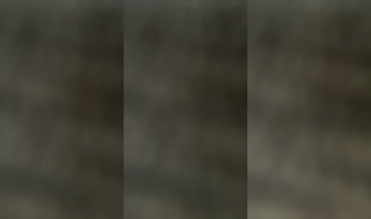 18734075's Live Session — Aug 19, 2026, 7:01 AM