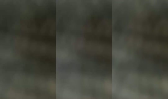 18734075's Live Session — Aug 19, 2026, 10:01 AM