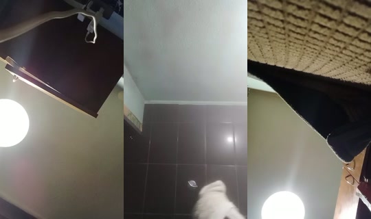 18866532's Live Session — Sep 12, 2026, 1:12 AM