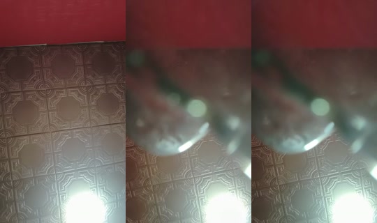 18877083's Live Session — Aug 11, 2026, 2:39 AM