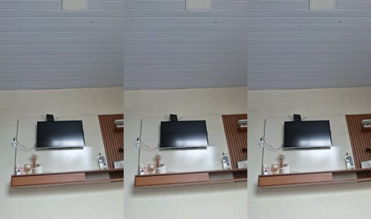 19213154's Live Session — Jul 29, 2026, 5:17 PM