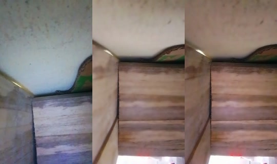 19411657's Live Session — Jul 21, 2026, 8:29 AM