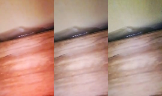 19411657's Live Session — Jul 24, 2026, 9:22 AM