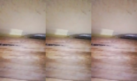19411657's Live Session — Jul 24, 2026, 10:14 AM