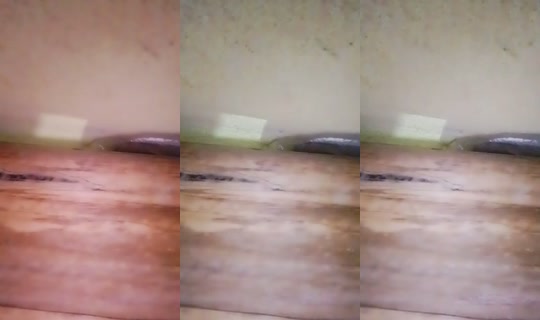 19411657's Live Session — Jul 24, 2026, 11:05 AM