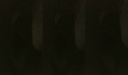 19933928's Live Session — Jul 27, 2026, 1:50 AM