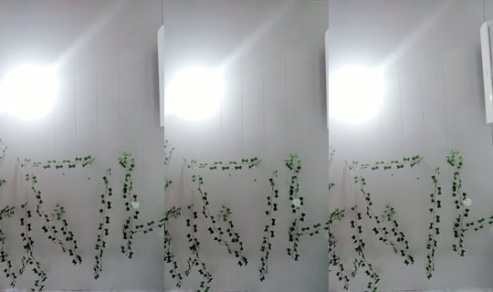 20447726's Live Session — Jul 23, 2026, 10:11 PM