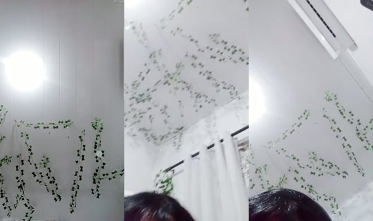20447726's Live Session — Jul 24, 2026, 12:17 AM