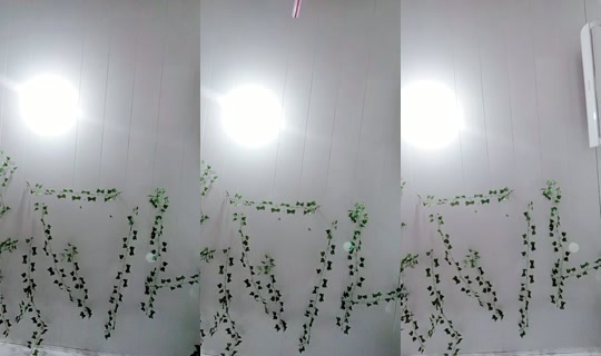 20447726's Live Session — Jul 24, 2026, 1:57 AM