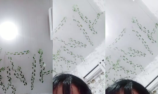 20447726's Live Session — Jul 24, 2026, 5:17 AM