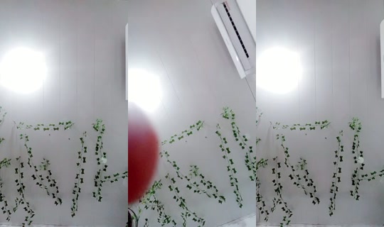 20447726's Live Session — Jul 26, 2026, 4:32 AM