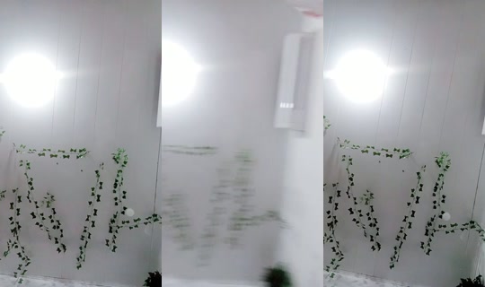 20447726's Live Session — Jul 27, 2026, 2:21 AM