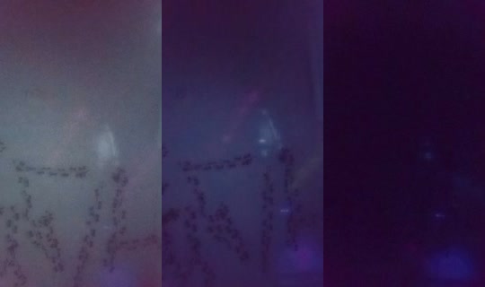 20447726's Live Session — Jul 30, 2026, 12:26 AM