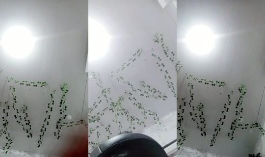 20447726's Live Session — Jul 31, 2026, 1:27 AM