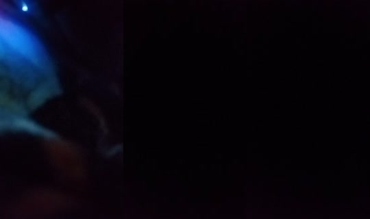 20447726's Live Session — Jul 31, 2026, 3:42 AM