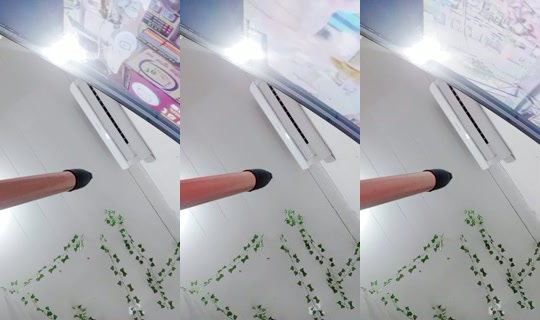 20447726's Live Session — Sep 14, 2026, 8:26 PM
