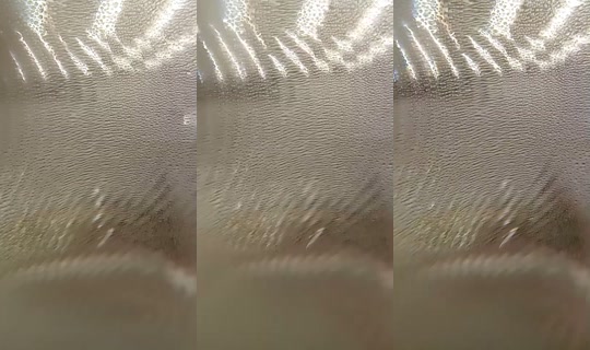 20463358's Live Session — Jul 22, 2026, 7:46 PM