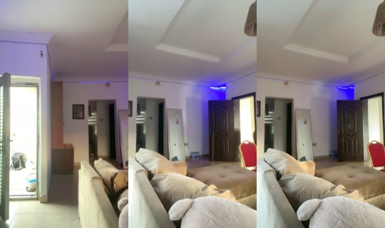 20515592's Live Session — Oct 20, 2026, 5:53 AM