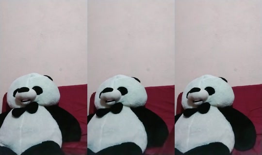 21125076's Live Session — Aug 19, 2026, 1:41 AM