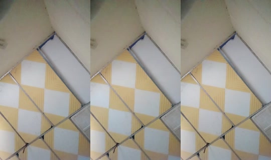 21130244's Live Session — Aug 19, 2026, 4:17 PM