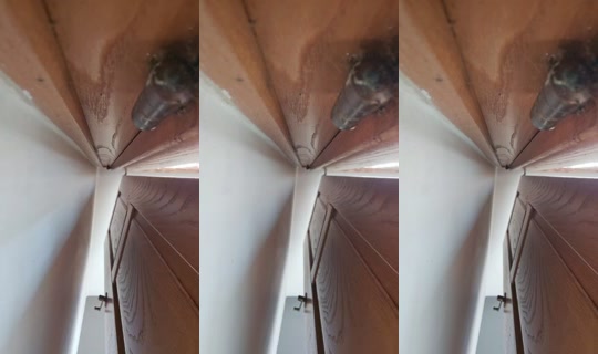 21219246's Live Session — Jul 26, 2026, 12:33 PM