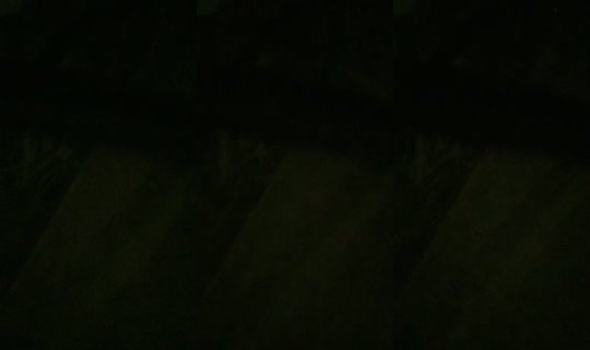 21255251's Live Session — Oct 20, 2026, 10:52 PM