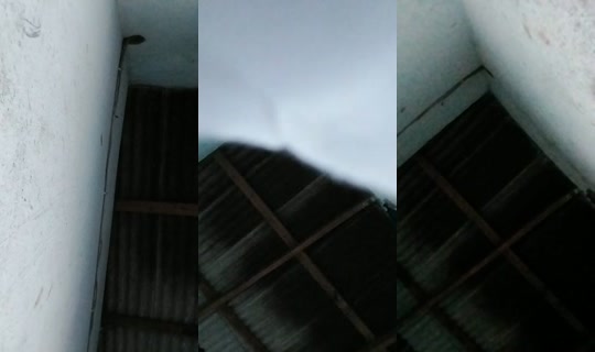 21266652's Live Session — Sep 10, 2026, 7:59 PM
