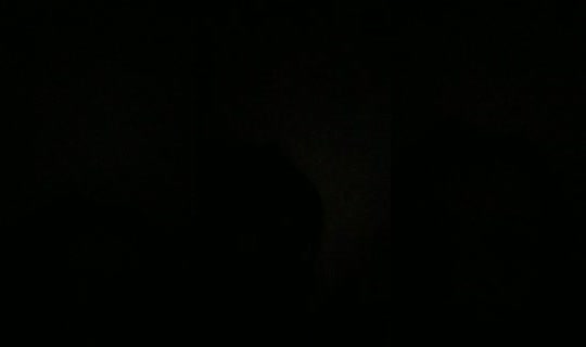 21809328's Live Session — Aug 8, 2026, 6:55 AM