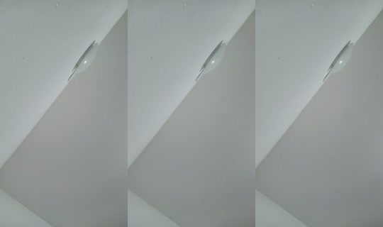 21957267's Live Session — Aug 19, 2026, 4:44 PM