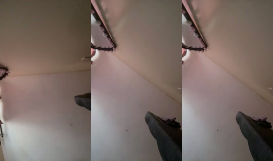 22308416's Live Session — Jul 24, 2026, 9:04 AM