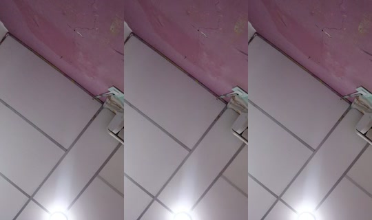 22422911's Live Session — Jul 27, 2026, 7:13 PM