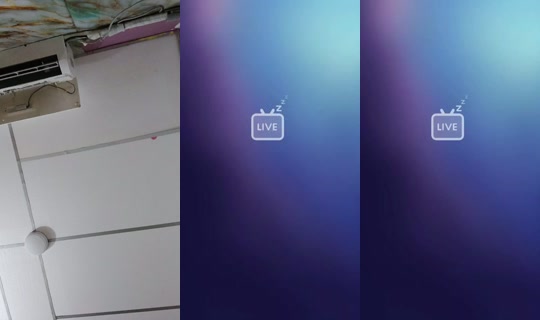 22422911's Live Session — Aug 11, 2026, 5:42 PM