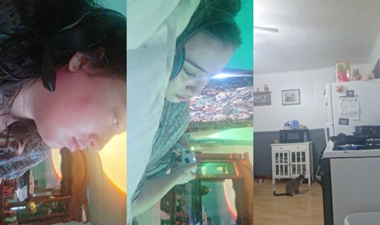 22678234's Live Session — Jul 27, 2026, 11:32 AM