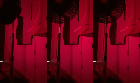 22909796's Live Session — Sep 14, 2026, 9:42 AM