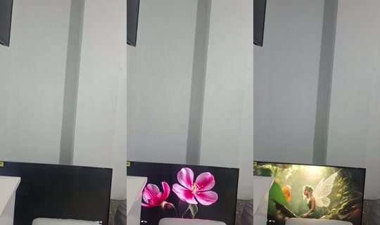23590095's Live Session — Oct 14, 2026, 3:32 AM