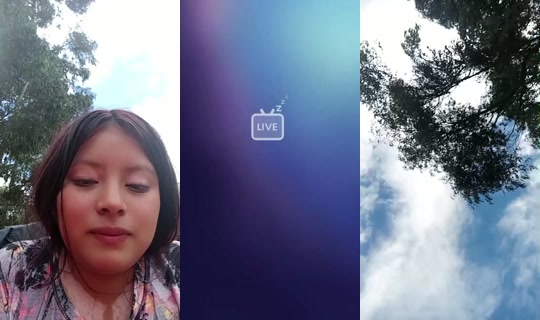 23759455's Live Session — Aug 29, 2026, 7:37 PM