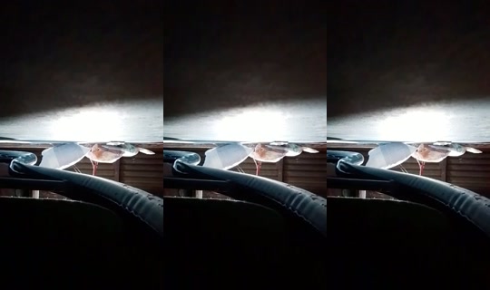 23931901's Live Session — Jul 10, 2026, 11:05 AM