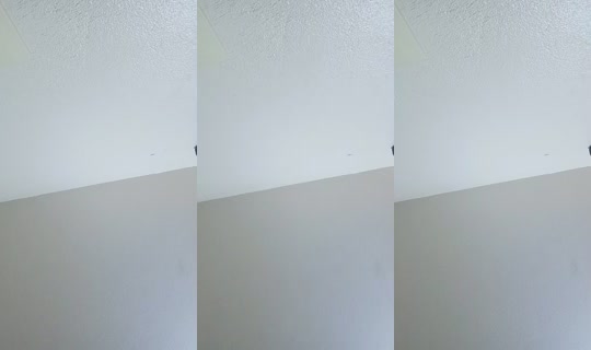 23987984's Live Session — Aug 1, 2026, 3:58 AM