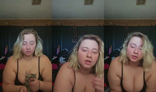 24283782's Live Session — Sep 7, 2026, 10:14 PM