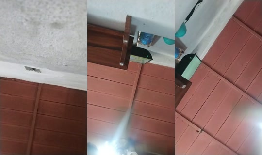 24382162's Live Session — Jul 22, 2026, 4:56 PM