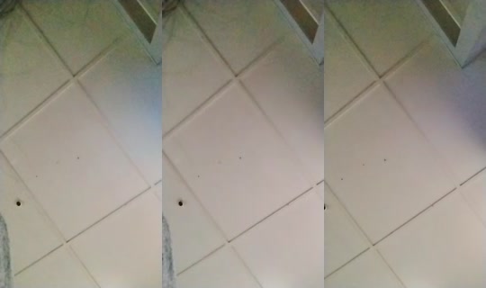 24434495's Live Session — Jul 27, 2026, 11:46 AM