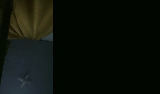 24439939's Live Session — Oct 19, 2026, 3:46 AM