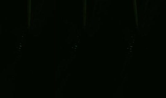 24439939's Live Session — Oct 21, 2026, 11:19 PM
