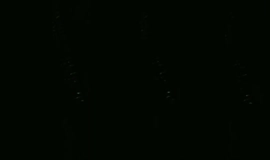 24439939's Live Session — Oct 22, 2026, 10:44 PM