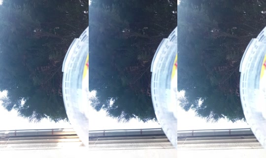 25309749's Live Session — Jul 28, 2026, 5:07 PM
